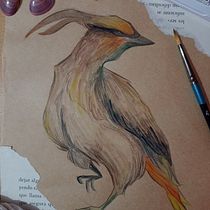 Mi proyecto del curso: Ilustración de animales: dibuja la vida salvaje en tu sketchbook. Traditional illustration, Collage, Sketchbook, and Naturalistic Illustration project by Lucia Guaymas - 01.24.2024