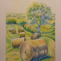 Il mio progetto del corso: Approccio al paesaggio con sketchbook e colore. Un progetto di Bozzetti, Creatività, Disegno a matita, Disegno e Sketchbook di Claudia Foroni - 26.01.2024