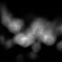 Il mio progetto del corso: Il corpo. Fine-Art Photograph project by Claudia Fontana - 01.27.2024