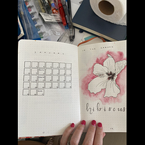 My project for course: Floral Drawings to Illustrate your Bullet Journal. Un proyecto de Pintura, Lettering, Dibujo, Ilustración botánica, H, lettering, Gestión y productividad							 de Sally - 27.01.2024