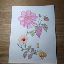 Mi proyecto del curso: Acuarela realista para composiciones botánicas. Un projet de Illustration traditionnelle, Peinture, Dessin, Aquarelle et Illustration botanique de Santi Jimenez D - 27.01.2024
