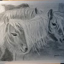 Mi proyecto del curso: Ilustración de animales con carboncillo y tinta. Fine Arts, Drawing, Ink Illustration, and Naturalistic Illustration project by Eugenia Rodríguez Moreiras - 01.27.2024