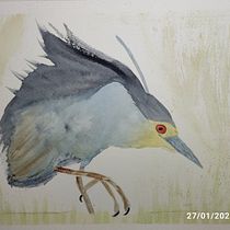 Mi proyecto del curso: Acuarela naturalista con expresión y personalidad. Traditional illustration, Watercolor Painting, and Naturalistic Illustration project by Jacirene Maciel - 01.28.2024