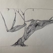 My project for course: Sketchbook Illustration with Pen: Embracing Mistakes. Sketching, Drawing, Sketchbook & Ink Illustration project by Brayden - 01.28.2024