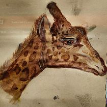Mi proyecto del curso: Ilustración realista en acuarela de la vida salvaje . Een project van  Beeldende kunst, Schilderij, Aquarelschilderen y Naturalistische illustratie van Kkota Ulloa - 30.01.2024