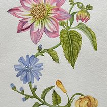 Mi proyecto del curso: Acuarela realista para composiciones botánicas. Traditional illustration, Painting, Drawing, Watercolor Painting, and Botanical Illustration project by rossanna_santoro - 01.30.2024