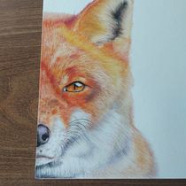 Retrato de mascotas, proyecto. Traditional illustration, and Naturalistic Illustration project by Camila Prieto Cáffaro - 01.30.2024