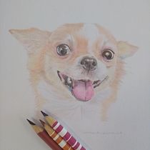 Meu projeto do curso: Retratos de pets a lápis de cor. Traditional illustration, and Naturalistic Illustration project by Carla Medina - 01.31.2024