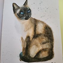 Exercises. Un proyecto de Pintura a la acuarela, Ilustración tradicional, Dibujo realista e Ilustración naturalista				 de Franciska Van Hauwaert - 01.02.2024
