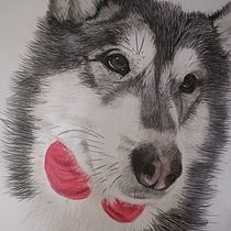 Mi proyecto del curso: Retratos de Mascotas en Lápices de Colores. Traditional illustration, and Naturalistic Illustration project by MARIA DEL CARMEN RAMÍREZ SUÁREZ - 02.01.2024