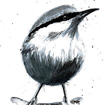My project for course: Illustrating the Natural World with Watercolor and Charcoal. Traditional illustration, Painting, and Naturalistic Illustration project by joanna_bickerton - 02.01.2024