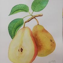 My project for course: Realistic Botanical Illustration: Escape to Nature. Painting, Watercolor Painting, Botanical Illustration, and Naturalistic Illustration project by Chris Callaghan - 02.02.2024