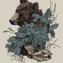 My project for course: Naturalist Illustration with Ballpoint Pen . Traditional illustration, Drawing, Realistic Drawing, and Naturalistic Illustration project by Erica Neumann - 01.20.2024
