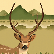 Mon projet du cours : Illustration de la vie sauvage pour les livres jeunesse. Un progetto di Illustrazione vettoriale, Illustrazione digitale e Illustrazione infantile di Marie - 04.02.2024
