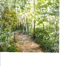 My project for course: Dreamy Watercolor Landscapes: Paint with Light. Un projet de Peinture , et Aquarelle de Sandra Gregory - 04.02.2024