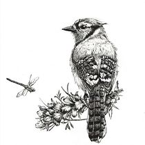 My project for course: Naturalist Illustration with Ballpoint Pen . Traditional illustration, Drawing, Realistic Drawing, and Naturalistic Illustration project by Sylvia Strauss - 02.03.2024