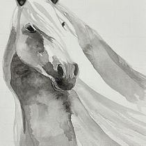 My projects for course: Expressive Animal Portraits in Watercolor. Un projet de Illustration traditionnelle, Aquarelle, Dessin réaliste et Illustration naturaliste de Phyllis Hewlett - 05.02.2024