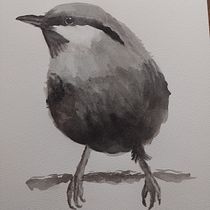 Mi proyecto del curso: Acuarela artística para ilustración de aves. Traditional illustration, Watercolor Painting, Realistic Drawing, and Naturalistic Illustration project by Laura Córdoba Salgado - 02.05.2024