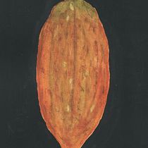 My project for course: Botanical Watercolor: Illustrating Art and Science. Un progetto di Illustrazione tradizionale, Belle arti, Pittura, Disegno, Pittura ad acquerello e Illustrazione botanica di Juan Larrauri Scott - 04.02.2024