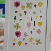 Mi proyecto del curso: Técnicas básicas de prensado botánico. Un proyecto de Artesanía, Bellas Artes, Collage, DIY, Diseño floral y vegetal de p_becar_e - 07.02.2024
