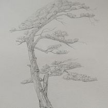 Il mio progetto del corso: Pittura ad acquerello: esplora le tecniche del pennello asciutto. Fine Arts, Painting, Drawing, Watercolor Painting, Botanical Illustration, and Naturalistic Illustration project by fabiolabiron - 02.07.2024