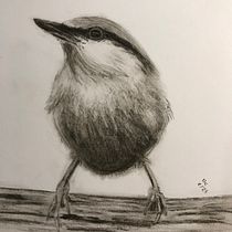 Mein Abschlussprojekt für den Kurs: Illustriere Vögel mit expressiven Aquarelltechniken. Traditional illustration, Watercolor Painting, and Naturalistic Illustration project by Imke Kiehlmann - 02.07.2024
