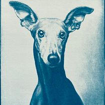 My project for course: Cyanotype: Printing with Light. Un projet de Artisanat, Beaux Arts, Estampe, DIY , et Photographie argentique de Sylwia Mac - 07.02.2024