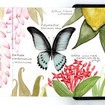 Mon projet du cours : Carnet naturaliste à l'aquarelle. Traditional illustration, Watercolor Painting, Botanical Illustration, Sketchbook, and Naturalistic Illustration project by Claire Poyet - 02.08.2024