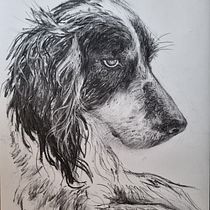 Final project ('Animal Illustration with Charcoal and Ink'). Fine Arts, Drawing, Naturalistic Illustration & Ink Illustration project by Helen Gräwert - 02.09.2024