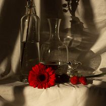 Mi proyecto del curso: Fotografía de bodegón botánico. Product Photograph, Fine-Art Photograph, Lifest, and le Photograph project by luciablack_ - 02.09.2024