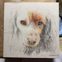 My project for course: Pet Portraits in Colored Pencils. Naturalistic Illustration project by toppclan - 02.09.2024