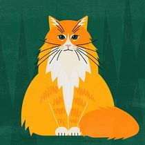 Cat's breed around the world. Animation, Interactive Design, Infographics, and Digital Design project by Claire - 02.12.2024
