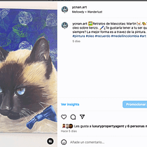 Ycnan.art : Estrategia de marca en Instagram. Social Media, Digital Marketing, Mobile Marketing, Instagram, Communication, Instagram Marketing, Br, and Strateg project by Nancy Castaño Vergara - 02.13.2024