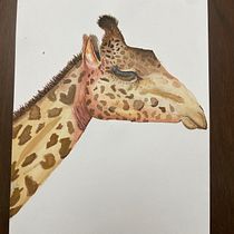 Meu projeto do curso: Ilustração em aquarela de vida selvagem realista. Een project van  Beeldende kunst, Schilderij, Aquarelschilderen y Naturalistische illustratie van lisanecava - 13.02.2024