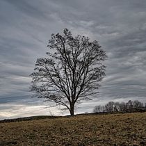 Mein Abschlussprojekt für den Kurs: Moderne Naturfotografie. Un projet de Photographie, Postproduction photographique, Réseaux sociaux, Photographie numérique, Photographie extérieure , et Composition photographique de Sylvia - 13.02.2024
