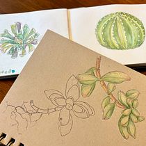 My project for course: Botanical Sketchbooking: A Meditative Approach. Ilustração tradicional, Esboçado, Desenho, Pintura em aquarela, Ilustração botânica, e Sketchbook projeto de pat kuenning - 13.02.2024
