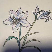 Mon projet du cours : Carnet de croquis botanique : une approche méditative. Desenho e Ilustração botânica projeto de delphigi - 14.02.2024