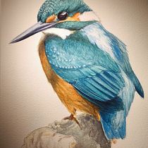 Mi proyecto del curso: Técnicas experimentales de acuarela para principiantes. Un progetto di Illustrazione tradizionale, Belle arti, Pittura ad acquerello e Illustrazione naturalistica di Miriam Velasco Ocaña - 14.02.2024
