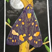 My project for course: Artistic Illustration with Chinese Ink and Watercolor. Pintura em aquarela e Ilustração com tinta projeto de Jan Kent - 14.02.2024