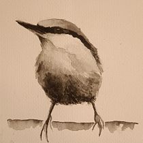 Il mio progetto del corso: Acquerello artistico per illustrazione di animali: gli uccelli. Traditional illustration, Watercolor Painting, Realistic Drawing, and Naturalistic Illustration project by elenamarano09 - 02.09.2024