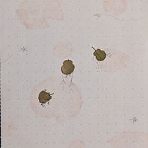 Mi proyecto del curso: Técnicas básicas de prensado botánico. Un proyecto de Artesanía, Bellas Artes, Collage, DIY, Diseño floral y vegetal de Ana Melissa González Friedrich - 15.02.2024