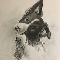 Mijn project van de cursus: Leer dieren illustreren met houtskool en inkt/monoprints. Fine Arts, Drawing, Ink Illustration, and Naturalistic Illustration project by anitavandijk - 02.15.2024