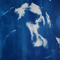 My project for course: Cyanotype: Printing with Light. Un projet de Artisanat, Beaux Arts, Estampe, DIY , et Photographie argentique de rorbear - 15.02.2024