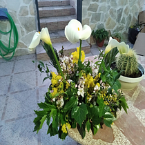 Mi proyecto del curso: Diseño y creación de composiciones florales. Un progetto di Interior design, Paesaggismo, Interior Design, DIY e Design floreale e vegetale di puridelgadozambrano - 16.02.2024