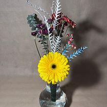 RAMITO SILVESTRE. Interior Design, L, scape Architecture, Decoration, DIY, Floral, and Plant Design project by Antonio Cruz - 02.02.2024