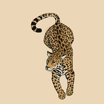 Meu projeto do curso: Ilustração naturalista de animais com Procreate Ein Projekt aus dem Bereich Traditionelle Illustration, Digitale Illustration, Realistische Zeichnung und Naturalistische Illustration von Victoria Lins - 17.02.2024