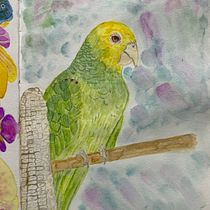 Mi proyecto del curso: Ilustración naturalista de aves con acuarela. Ilustração tradicional, Pintura em aquarela, Desenho realista e Ilustração naturalista projeto de Diana Laura Rosas - 15.09.2023