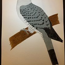 My project for course: Naturalist Bird Illustration with Watercolors. Ilustração tradicional, Pintura em aquarela, Desenho realista, Ilustração naturalista, e Pintura guache projeto de Winston Liauw - 18.02.2024