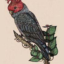 Mi proyecto del curso: Ilustración naturalista con bolígrafo. Traditional illustration, Drawing, Realistic Drawing, and Naturalistic Illustration project by anita45paint - 02.18.2024