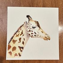 My project for course: Watercolor Illustration: Painting Realistic Wildlife . % vxmastro tarafından hazırlanan Güzel sanatlar, Tablo, Sulubo, a Resim, Doğalcı İllüstras, Ve on projesi - 02.18.2024